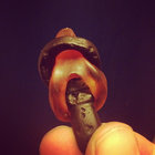 fleuw thumbnail