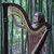lizaharp thumbnail