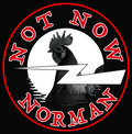 Not Now Norman image