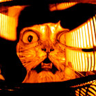 Rinn thumbnail