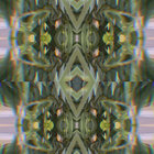 Jake Eras thumbnail