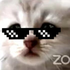 MARK ZIEMANN thumbnail