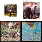 A Dream in Sound | Elf Power | Orange Twin Records
