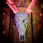 Benoit GUILLON thumbnail