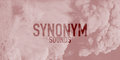 Synonym Sounds image