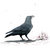 crow thumbnail
