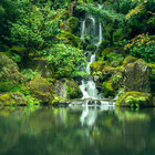 Koshiki Weekend thumbnail