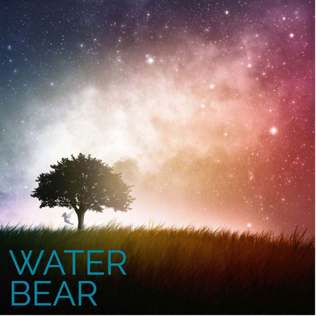 Rusted Moon WATER BEAR