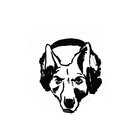 Funkdog thumbnail