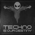 Techno Is Our Destiny image