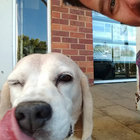 Steve Calnon thumbnail