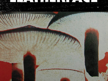 Leatherface - Mush (Vinyl) white main photo