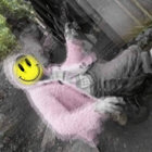 DuBSlut - (DyslexiTek) thumbnail