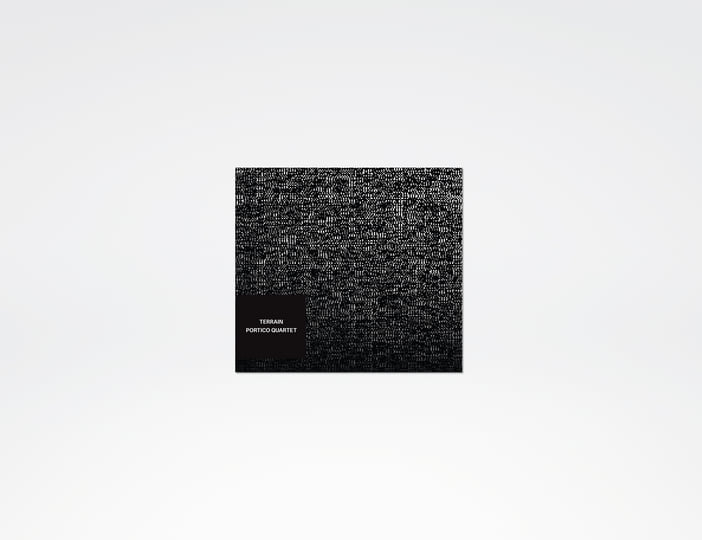 Terrain | Portico Quartet