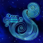 aquarius81 thumbnail