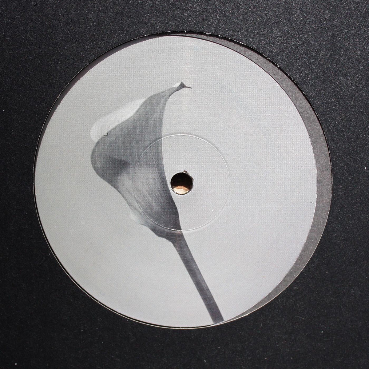 Black Label Series 06 | Len Lewis | Banoffee Pies Records