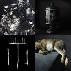 洋楽 SPINELESS ...a talk between me and the.. Spineless – A Talk Between Me And The Stars – Vinyl