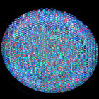tidal_pools thumbnail