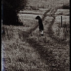 Spearwort thumbnail