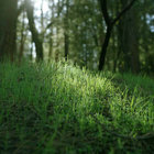 Porterness thumbnail