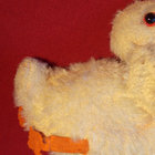 duckyfeet thumbnail
