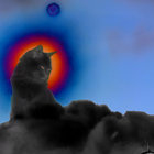 sunnnny thumbnail