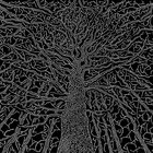 mystagogus thumbnail