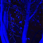 In a sense of conformity thumbnail
