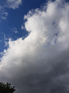 Music | Jessica Sinclair