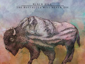 "Maze in the dark forest" + "The buffaloes will never die" digital album bundle photo 