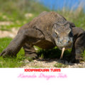 Komodo Island Dragon image