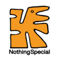 nothingspecial image