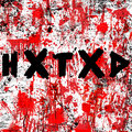 HXTXD image