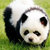 Panda Style thumbnail
