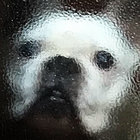 odanodub thumbnail
