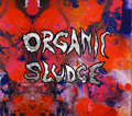 Organic Sludge image