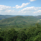 thorngrove thumbnail
