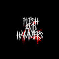 FLESH AND HAMMERS image