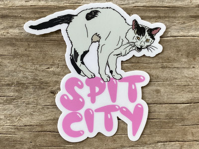 Street Cat Sticker main photo