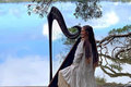 Hayley Erin - Harpist image