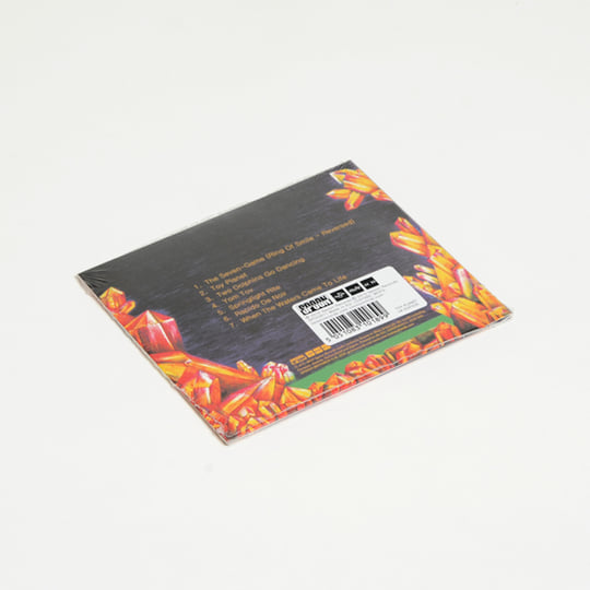 Toy Planet | Irmin Schmidt & Bruno Spoerri | Irmin Schmidt