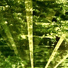 natswing thumbnail