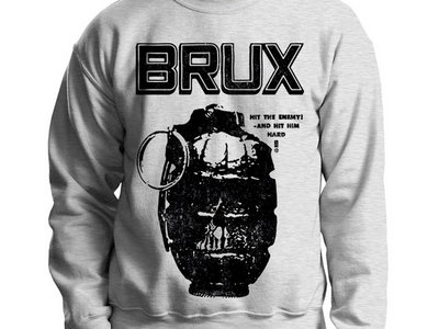 Brux Sweater Grey main photo