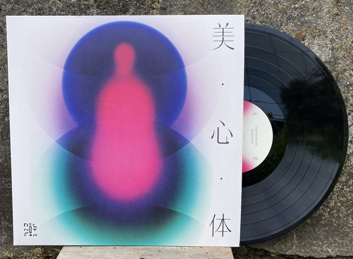 UNKNOWN ME　BISHINTAI  LP BISHINTAI | UNKNOWN ME