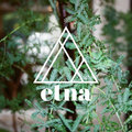 etna image