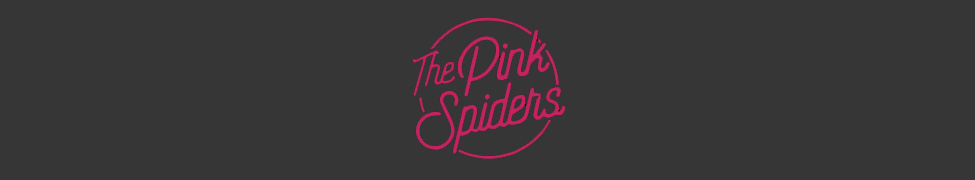 The Pink Spiders — Photo