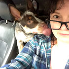lisankiddos thumbnail