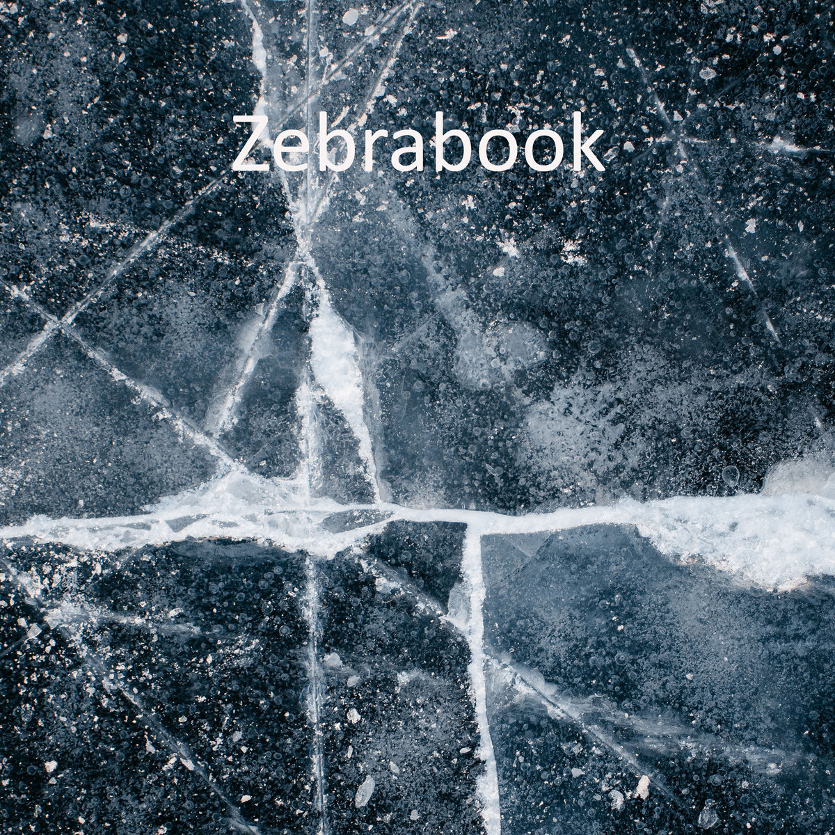 Zebrabook The Wolf | Zebrabook
