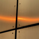 Angus M thumbnail