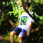 guan_cha thumbnail
